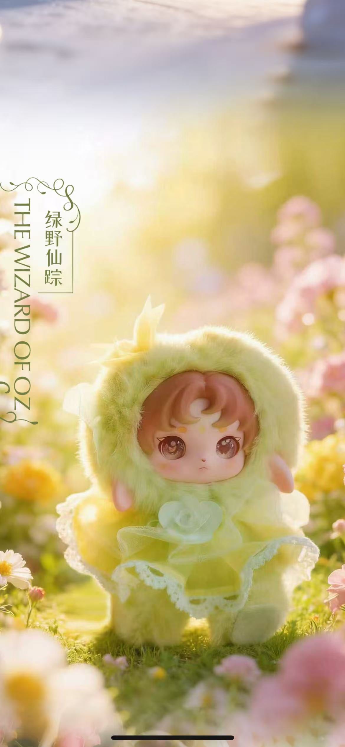 Ruby Wonderland  blind  box